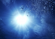 开云官网-巴萨对阵丹麦，基耶萨持续制造杀伤，一场战术与意志的较量