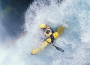 开云下载-双线传奇，铁血防线锁死雄狮，中场新王主宰争冠战