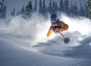 开云体育app-加克波爆发引领荷兰晋级，厄瓜多尔掀翻喀麦隆改写非洲格局