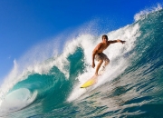 开云体育app-从基多到多哈，加克波一锤定音，荷兰新星如何成为关键先生？