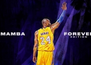 开云体育平台APP-字母哥用实力证明自己，浙江队防守锁死灰熊—当东方智慧遇上西方天赋