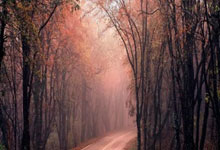 开云平台-包含中国队鏖战丹麦队，戴资颖带队取胜的词条