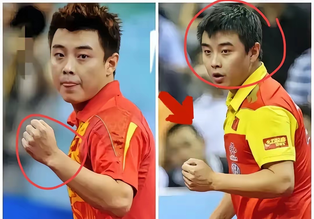 法国乒乓球队碾压波兰乒乓球队,王皓统治全场的简单介绍 法国乒乓球队碾压波兰乒乓球队,王皓统治全场的简单介绍