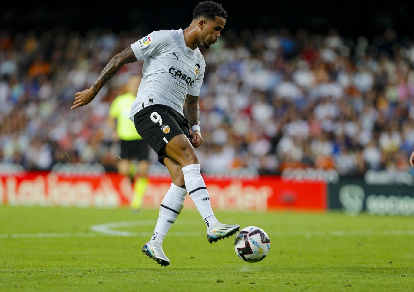 帕德博恩在主场击败对手，信心大增的简单介绍