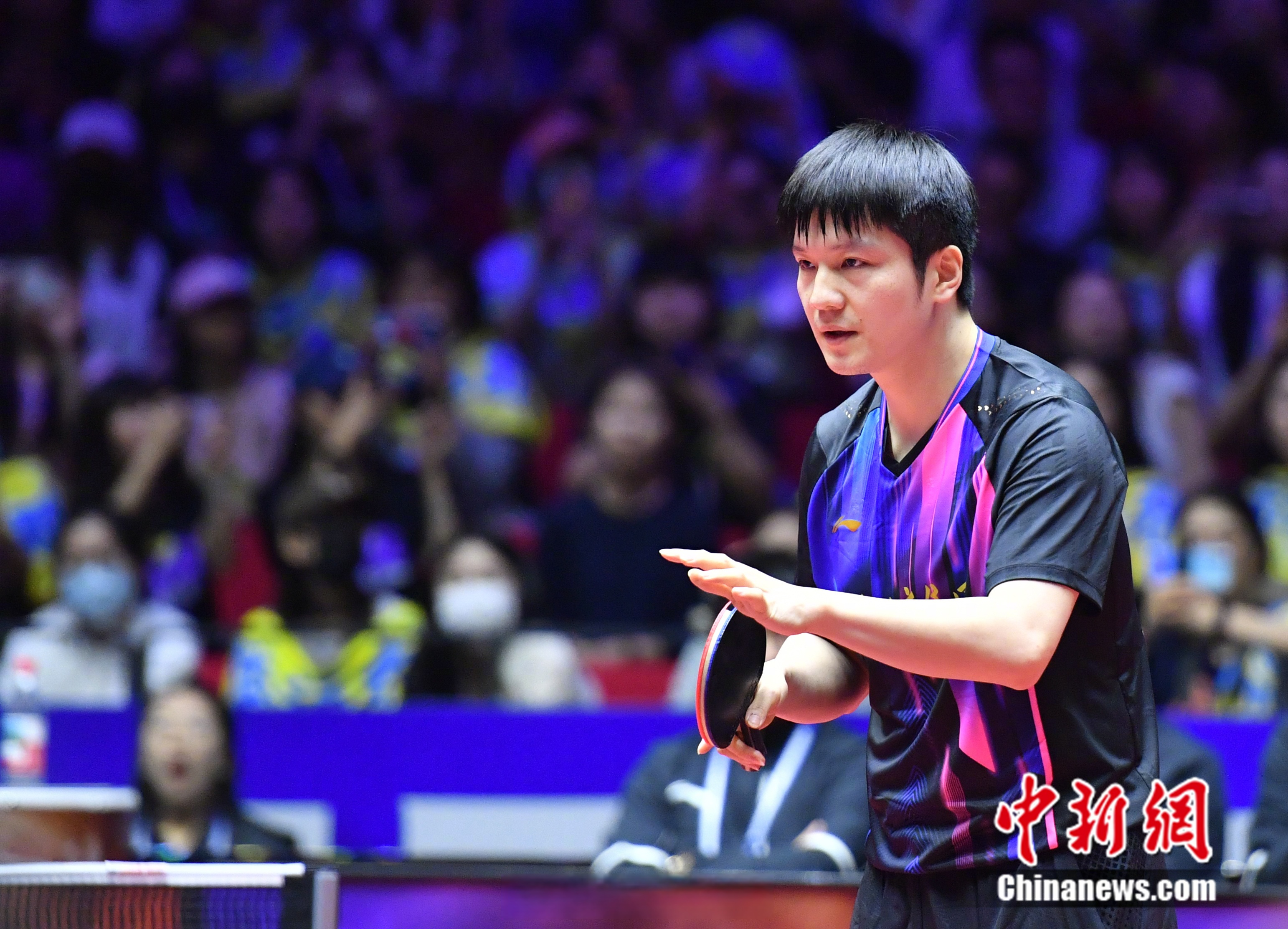 关于日本队险胜韩国队，樊振东高光表现的信息