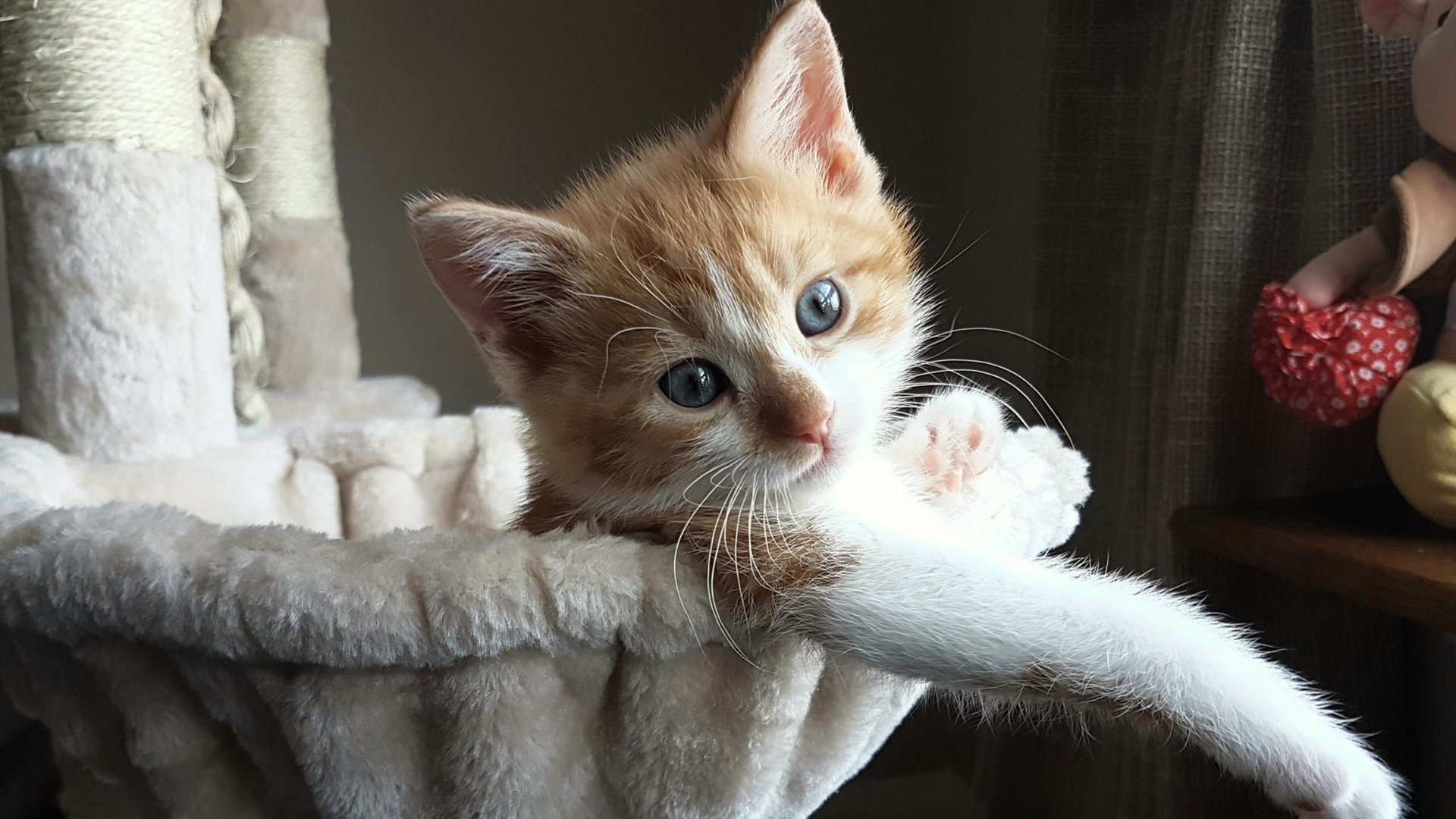 阿什拉夫·哈基米,那不勒斯之魂强行终结德国战车,美加墨世界杯新王接管时代